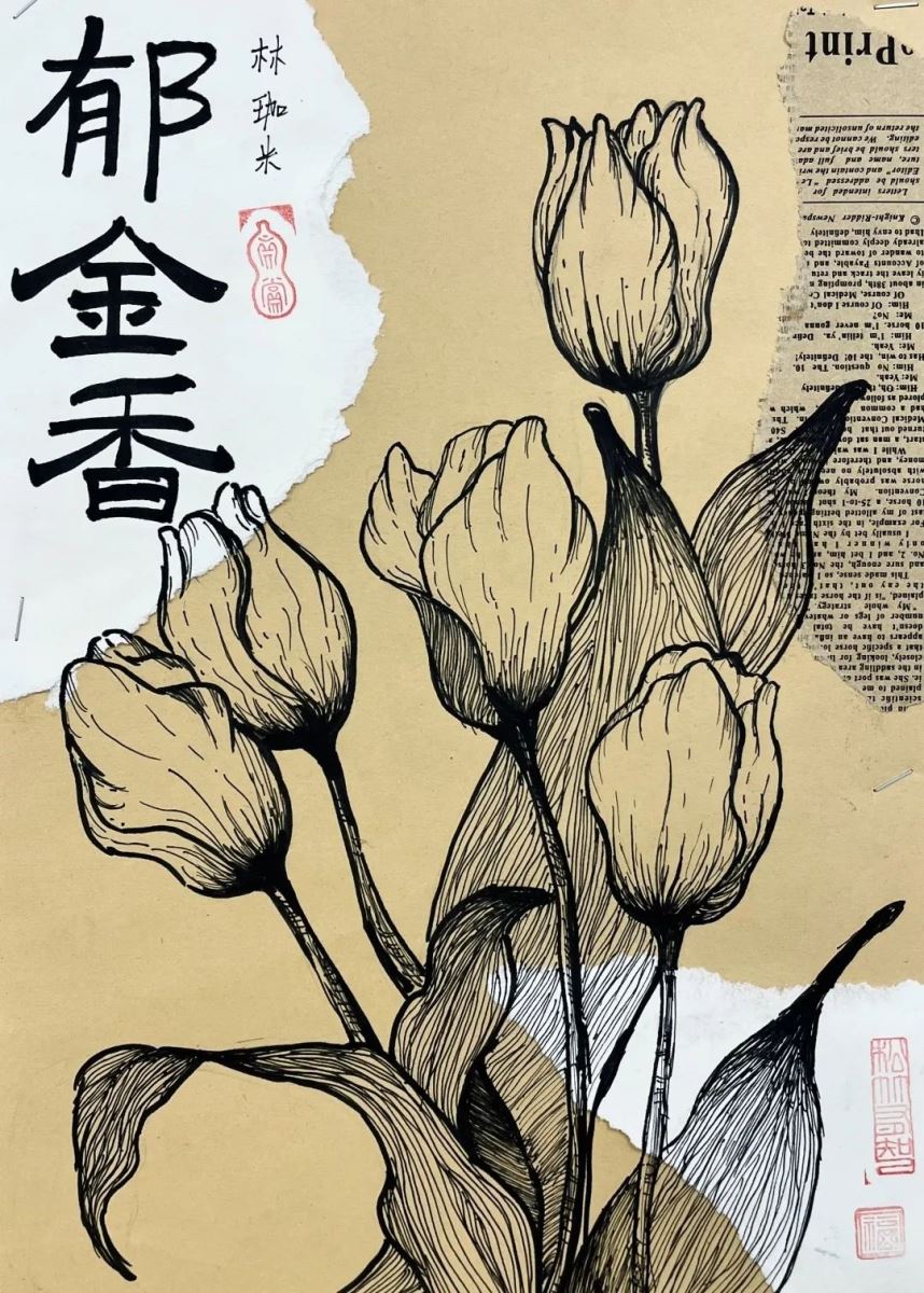 图片